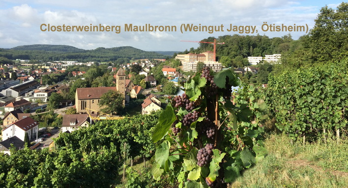 Closterweinberg Maulbronn - Weingut Jaggy-Oetisheim